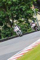 PJ-Motorsport-Photography-2020;anglesey;brands-hatch;cadwell-park;croft;donington-park;enduro-digital-images;event-digital-images;eventdigitalimages;mallory;no-limits;oulton-park;peter-wileman-photography;racing-digital-images;silverstone;snetterton;trackday-digital-images;trackday-photos;vmcc-banbury-run;welsh-2-day-enduro